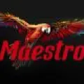 Maestro