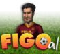 Figoal